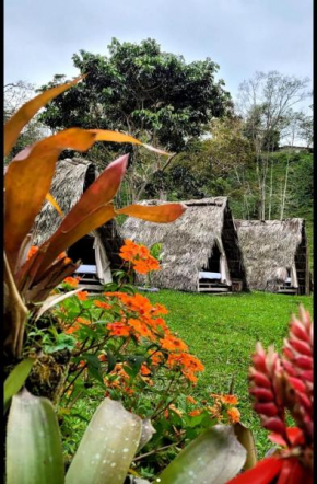 Rancho Porvenir